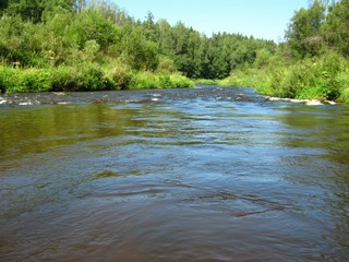 На перекате (Дмитрий Зонов)