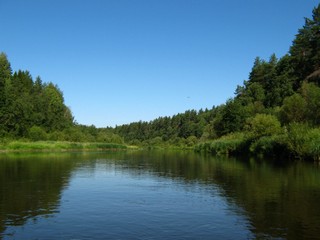 Быстрица на лесном участке (Дмитрий Зонов)