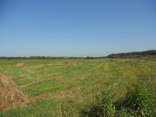 Вид с полей на Железную дорогу (Andrey Ivashchenko)