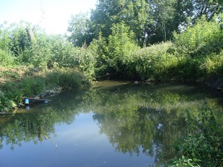 Лето! (Elvira Vildanova)