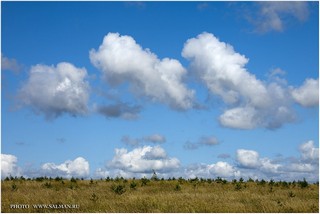 Республика Татарстан, Россияю,Предместье Села Ижевка, 2011,Лето, @ Владимир Салман (www.salman.ru)