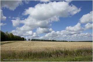 Республика Татарстан, Россия, 2011,Лето, @ Владимир Салман (www.salman.ru)