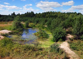 На окраине Торфпосёлка (Денис Логиновский (denlog))