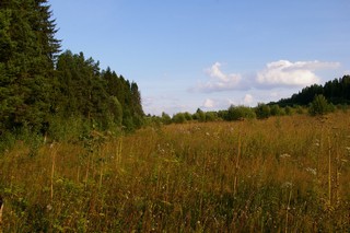 Окрестности Безвиля, дорога на пруд (Mariemsc)