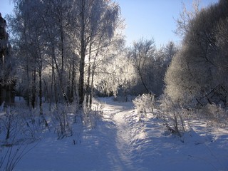 Зима, пустырь (Alexandr Litvinenko)