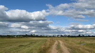 скошеное поле (Sergey Mamaev)