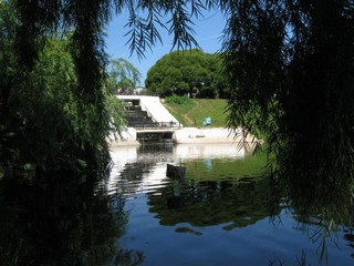 пруд (Sergey Mamaev)