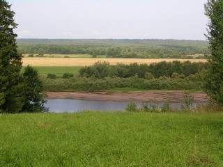 д. Коровино (Кошка Фрося)