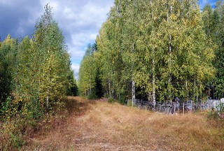 Черниговские зарисовки (Денис Логиновский (denlog))