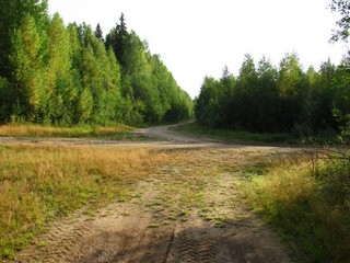 Лесной перекрёсток (Дмитрий Зонов)