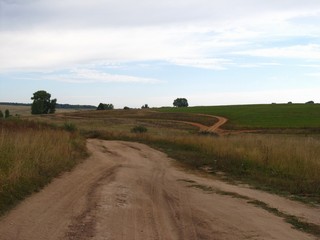 Развилка у ур.Алфёровка (Дмитрий Зонов)