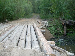 Мост 2011 (Vasiliy Mamaev)