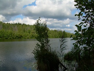 озеро Долгое (Vasiliy Mamaev)
