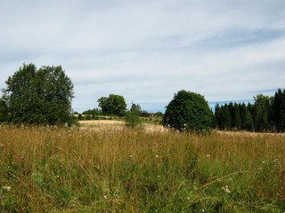 Деревня Тупицыны (Дмитрий Зонов)