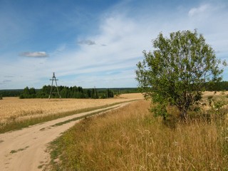 Дорога от Зоновщины к трассе 