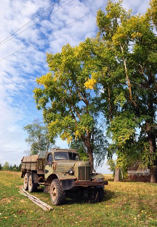 Волосница (Денис Логиновский (denlog))