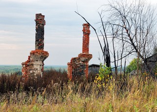 Волосница (Денис Логиновский (denlog))