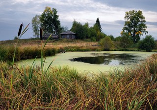 Волосница (Денис Логиновский (denlog))