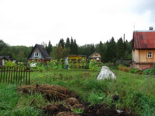 Сентябрь в садах (Дмитрий Зонов)