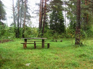 Полянка у Чепцы (Дмитрий Зонов)