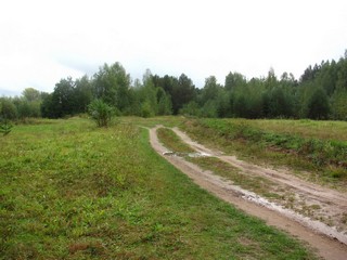 Дорога вдоль берега Чепцы (Дмитрий Зонов)