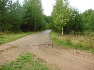 Дорога к Чепецкой трассе (Дмитрий Зонов)