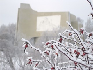 Диорама (Наталья Касимова)