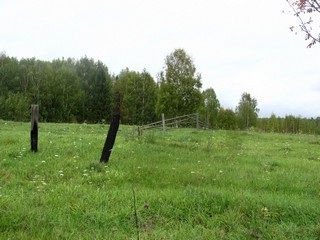 В б/д Самодуровщина (Дмитрий Зонов)