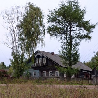 Палема, Великоустюгский район, Вологодская область (Николай Максимович)