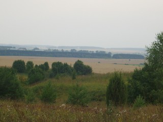 даль (Ksenia Zvereva)