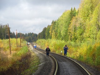 Поезд ушёл, грибники остались (Дмитрий Зонов)