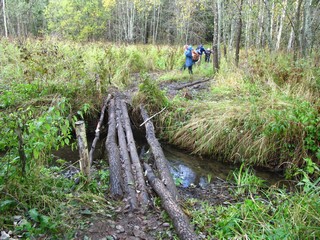 Мостик через ручей (Дмитрий Зонов)