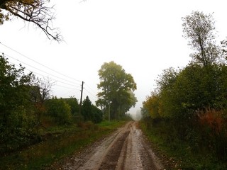 деревня Русский Караул (Aleksey Fominykh)