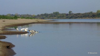 Вятка. Сентябрь 2011. (V.Yarochenko)