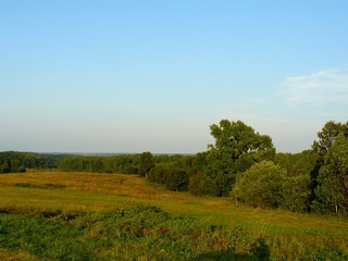 Новоселы (Aleksey Fominykh)