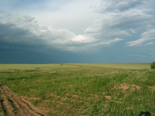 Field before thunderstorm. Udmurtia rep. summer 2010 (Leroy Kincaid)