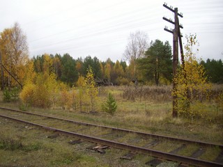 п.Брусничный (Денис Логиновский (denlog))