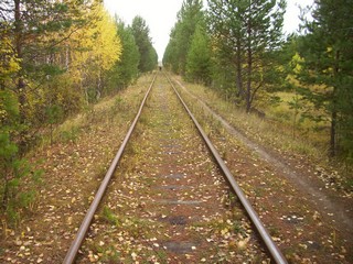 жд. в пос.Брусничный (Денис Логиновский (denlog))
