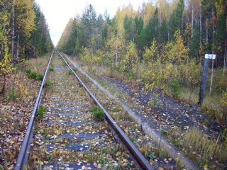 перегон Брусничный-Раздельная (Денис Логиновский (denlog))