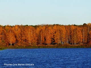 yola (Александр Баданов)