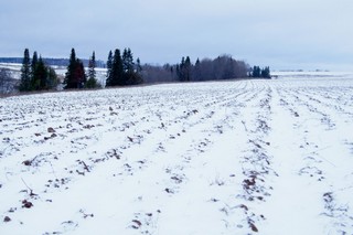 долина реки Кичу (Rashit Zagidoullin)