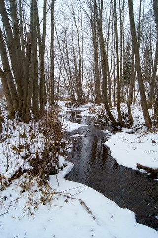 река Кичу (Rashit Zagidoullin)