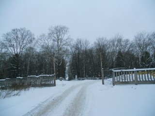 Лобановское кладбище (Andrey Ivashchenko)