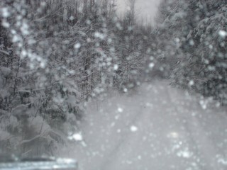 дорога домой (Alex Danilov)