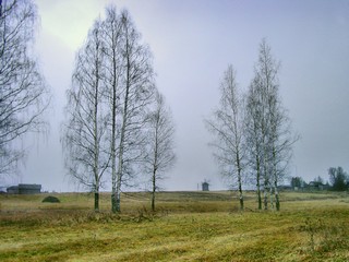 п. Лудорвай (Борис Бусоргин)