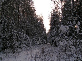 Где-то за Лычагой (doctor A)