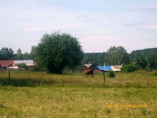 Конь. (Vladimir baloo)