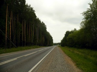 В сторону Бол. Сосновы (vjiki)