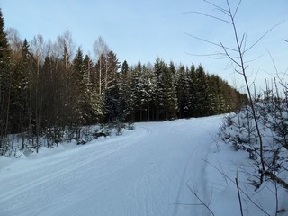 У Дендропарка (Дмитрий Зонов)