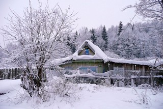 Деревня ТрудПчела (Борис Бусоргин)